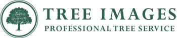 Tree Images logo